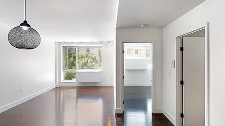 Rented by Bizzarro Agency