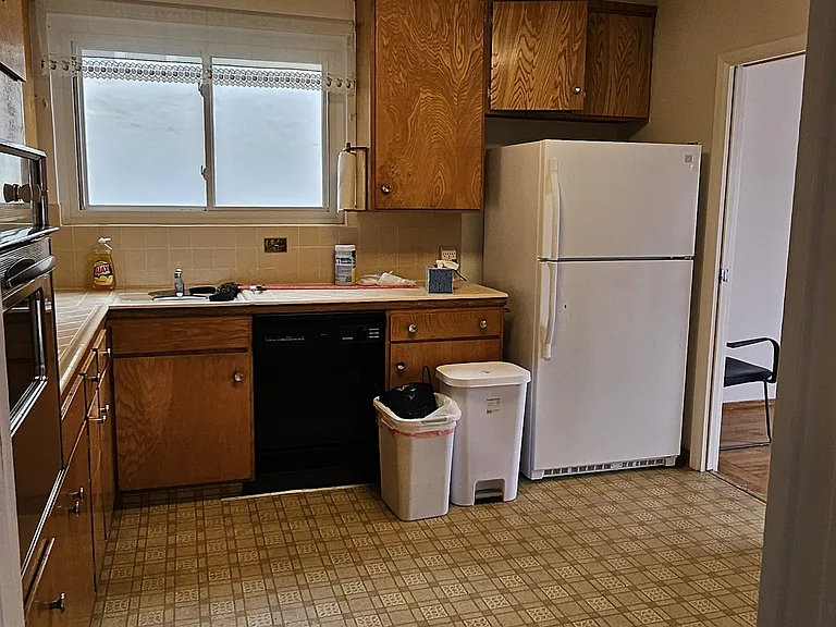 Kitchen (refrigerator and dishwasher included)