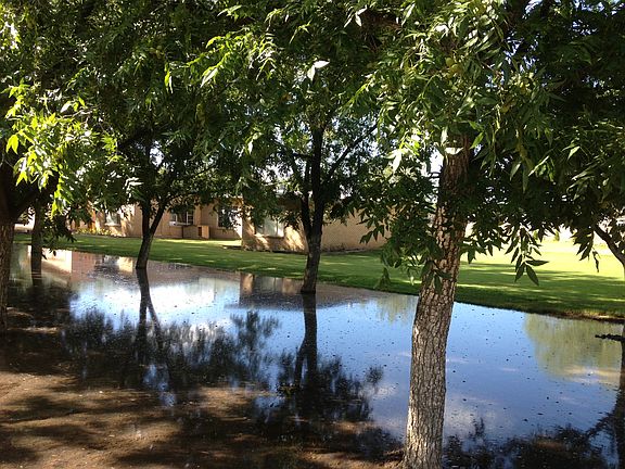 east looking south at house