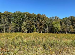 0 Golliher Rd, Rockwood, TN 37854