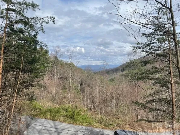 92 Mountain Magnolia Dr, Leicester, NC 28748