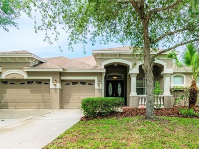 6615 Thornton Palms Dr, Tampa, FL, 33647