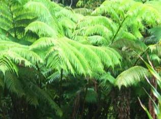 Liona St LOT 53B190, Volcano, HI 96785