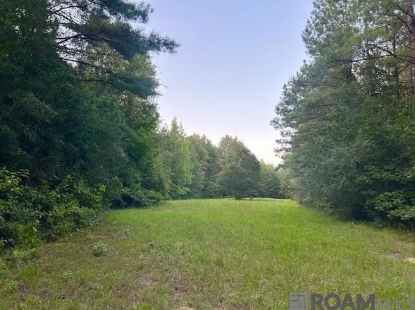 TRACT Peterson Rd #C, Saint Francisville, LA 70775
