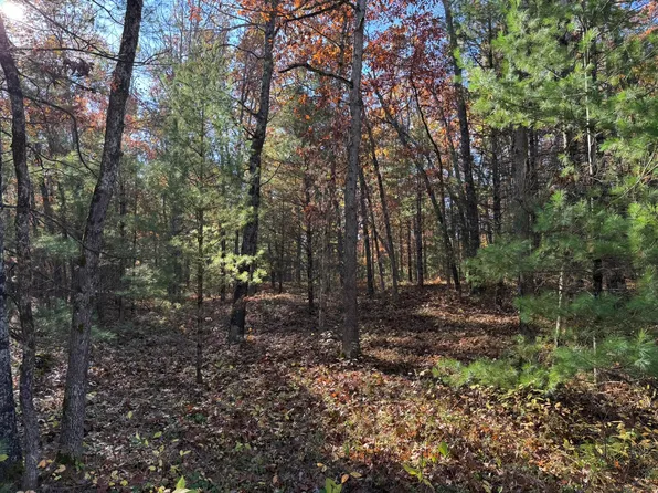 PARCEL 5 E County Line Rd, Free Soil, MI 49411