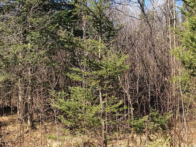 2nd image of 9336N PHALZGRAFF RD