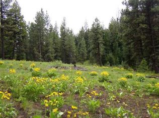 Tbd Price Valley Rd, New Meadows, ID 83654