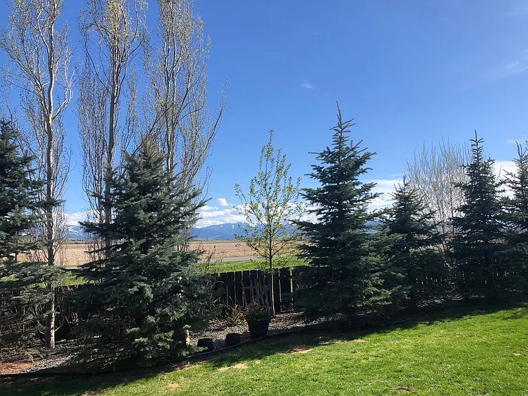 118 Gloria Ct — Photo 9