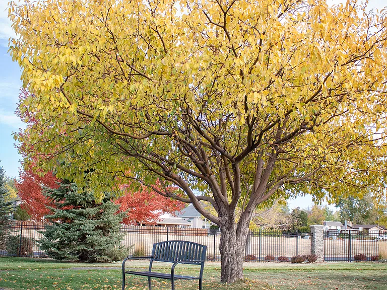 Bella Vita Senior Living — Photo 32