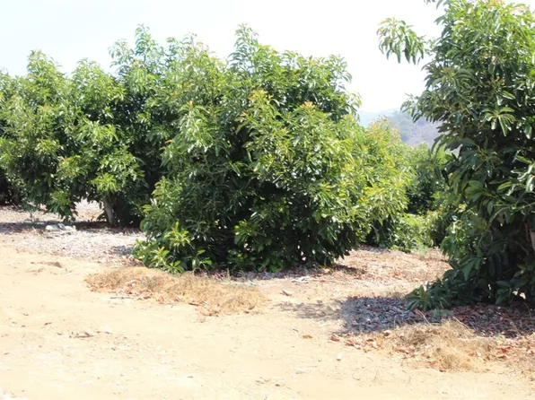 4 Via Vaquero Rd Lot 1, Temecula, CA 92590