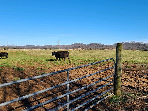 4th image of 660 Tom Breeden Rd Lot 5