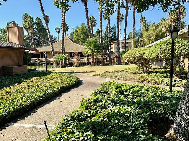 Palm Lake — Photo 2