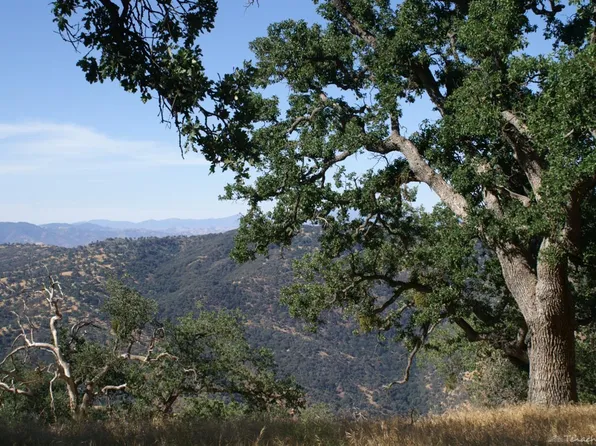 30300 Starland Dr #184, Tehachapi, CA 93561