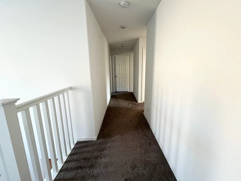 3346 Jackrabbit Ct — Photo 15