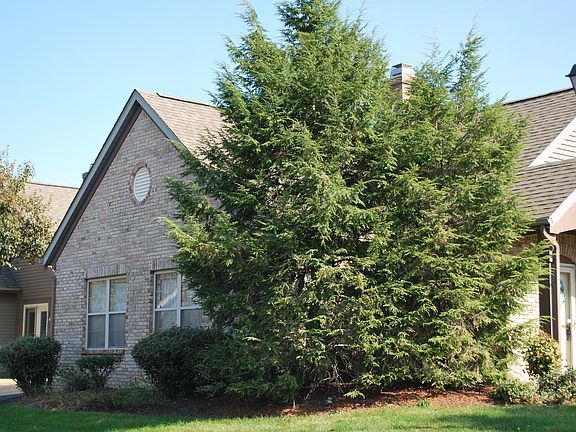 3rd image of 7712 Redman Ln