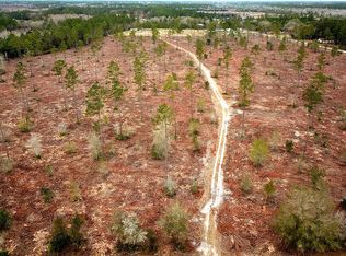 Antioch Church Rd, Homerville, GA 31634