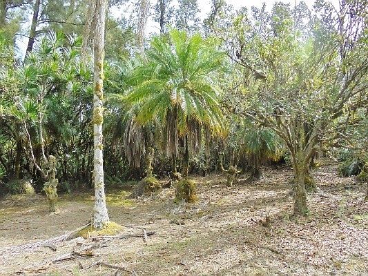 3rd image of Pomaikai St Lot 10