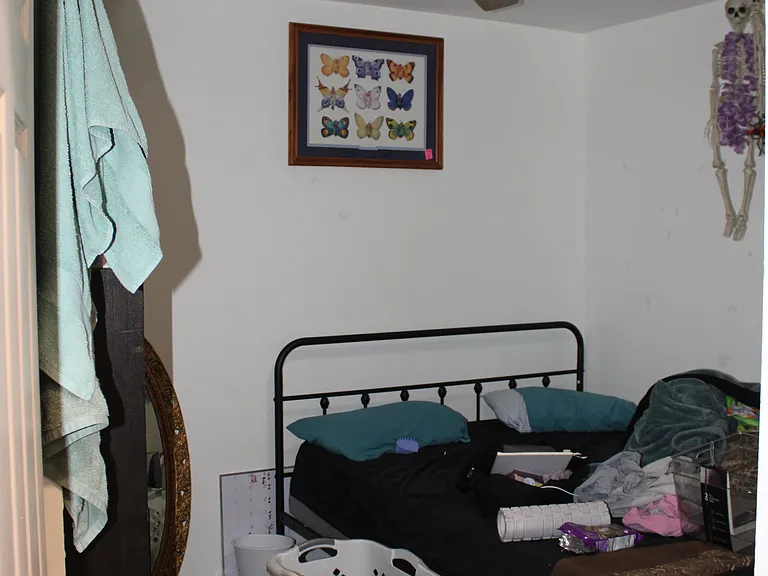 3078 Wesley Powell Dr #1 — Photo 59