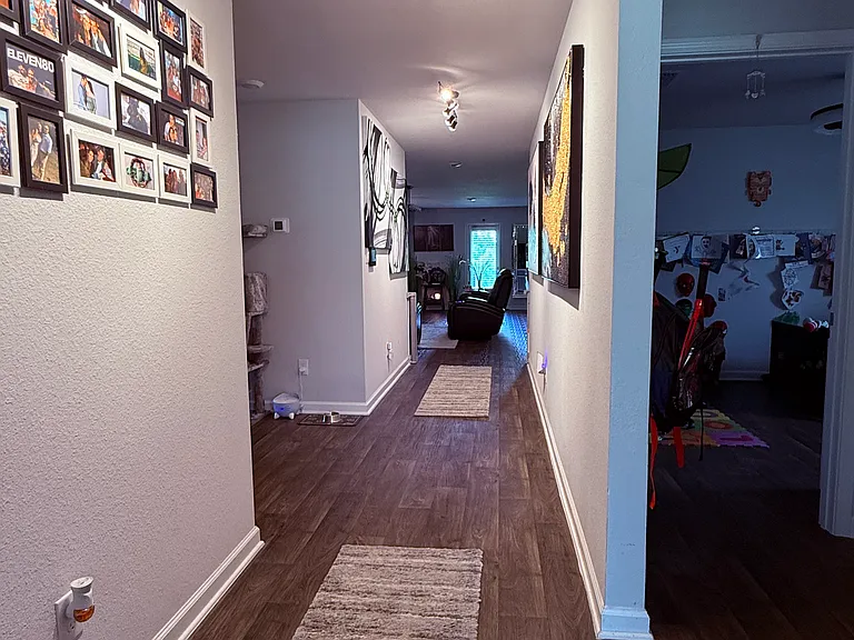 Ceiling picture and art lights in the Hallway/Foyer.