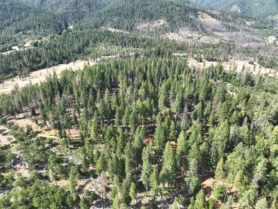 159 Buck Ln, Hayfork, CA, 96041