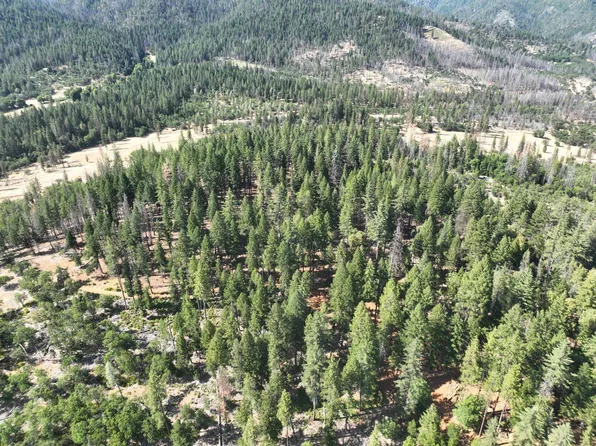 159 Buck Ln, Hayfork, CA 96041