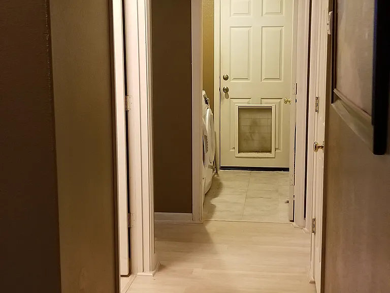 2413 Musk Ct — Photo 28