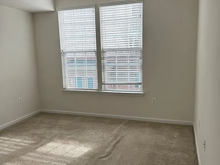 5217 Stream Bank Ln #308J — Photo 9