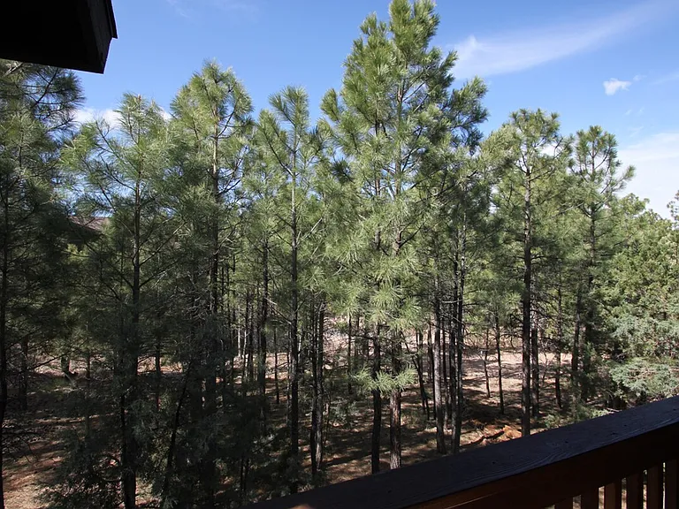 Window View