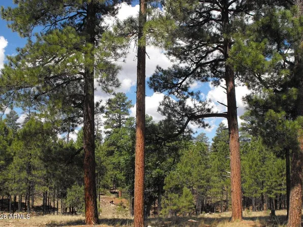 4622 JUNIPER Drive #116, Happy Jack, AZ 86024