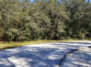Nonstone Dr, Webster, FL 33597