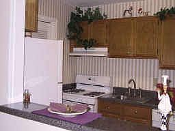 Upgraded Kitchen