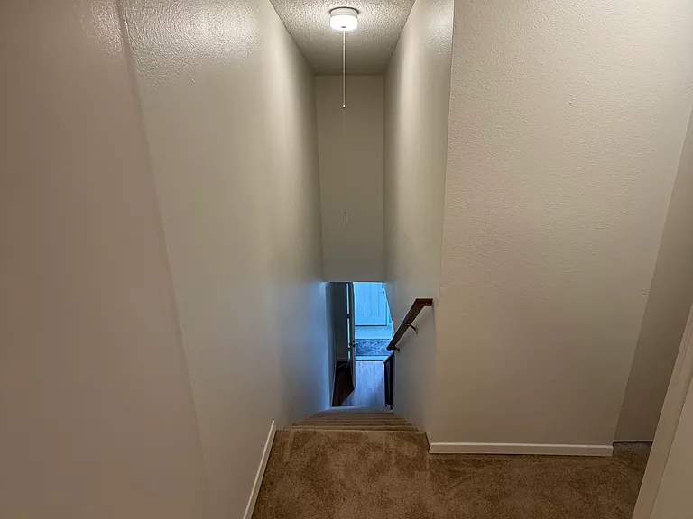 1225 Elegante Ln — Photo 2