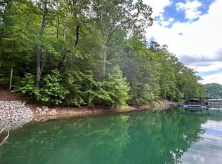 Cove Pointe Rd, Lafollette, TN 37766