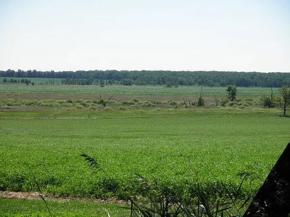 15885 430th St, Bertha, MN 56437