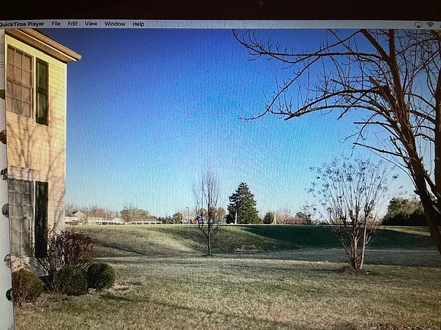 Back yard playground view