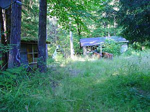 4th image of 16338 Village Dr SE