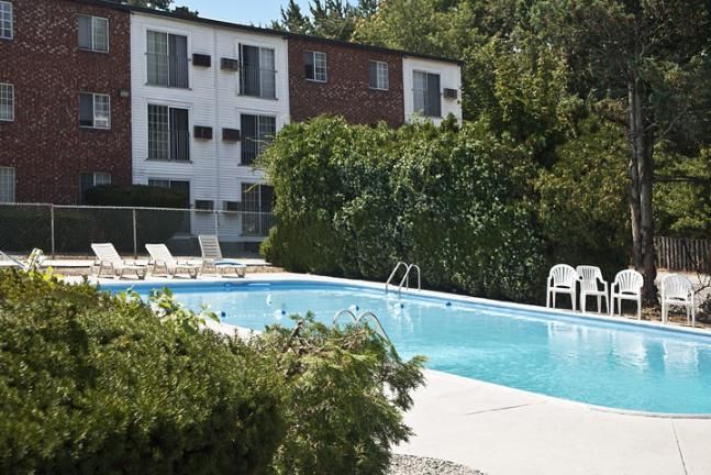 Sparkling Pool