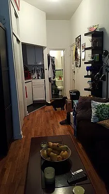 Rented by Eric Goodman Realty Corp | media 5