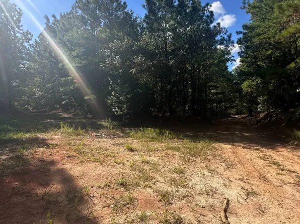 0 Fisher Firetower Rd, Many, LA 71449