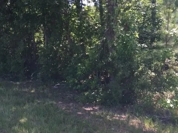 Old 41 Hwy, Milner, GA 30257