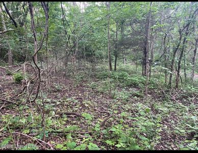 Lots 11/12 Percy St #13, Corinth, KY, 41010