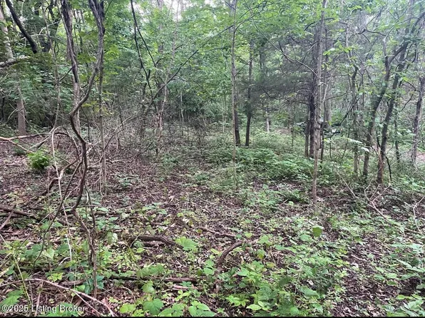 Lots 11/12 Percy St #13, Corinth, KY 41010