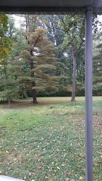 5815 King Ave photo 1