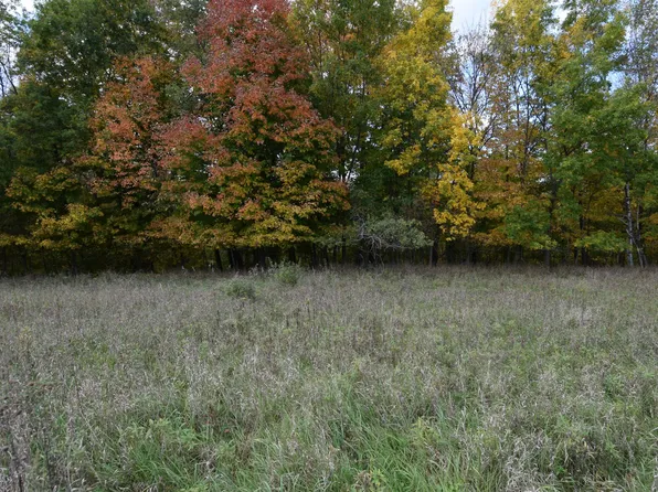 L158 Black Forest Dr, La Valle, WI 53941
