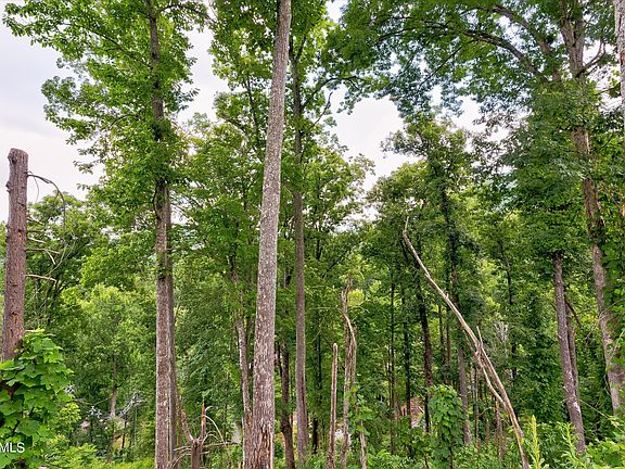 2nd image of 28 Silverbell Heights Ln Lot 28