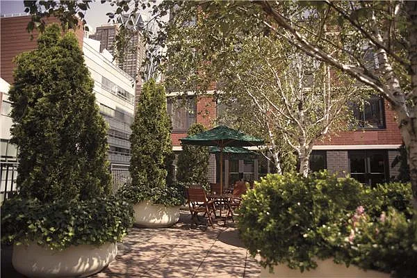 Rented by Gotham Organization | media 44