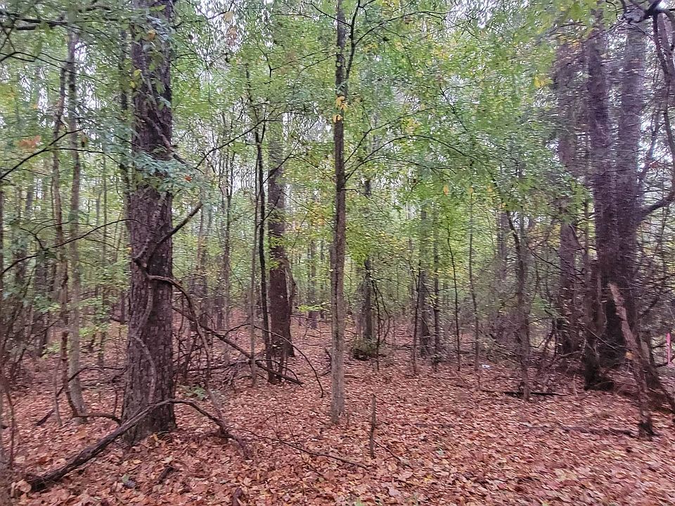 2nd image of Lamars Mill Rd