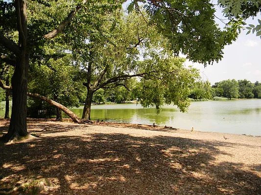 Sold by Orrichio Anderson | media 10