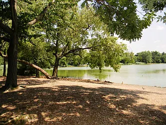 Sold by Orrichio Anderson