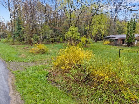 5th image of 393 Rowlee Rd